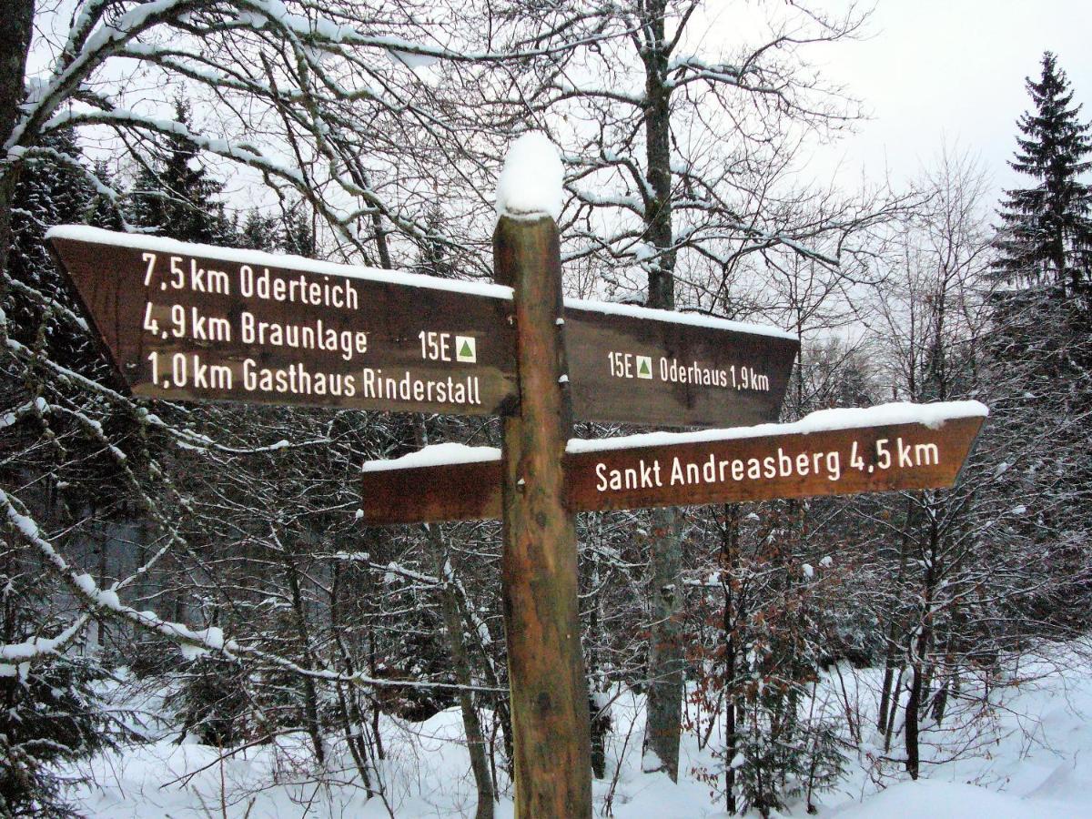 Harzhuisje - Sankt-Andreasberg Extérieur photo