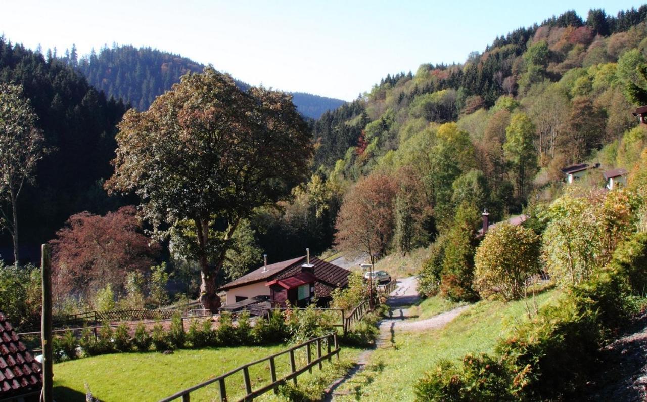 Harzhuisje - Sankt-Andreasberg Extérieur photo